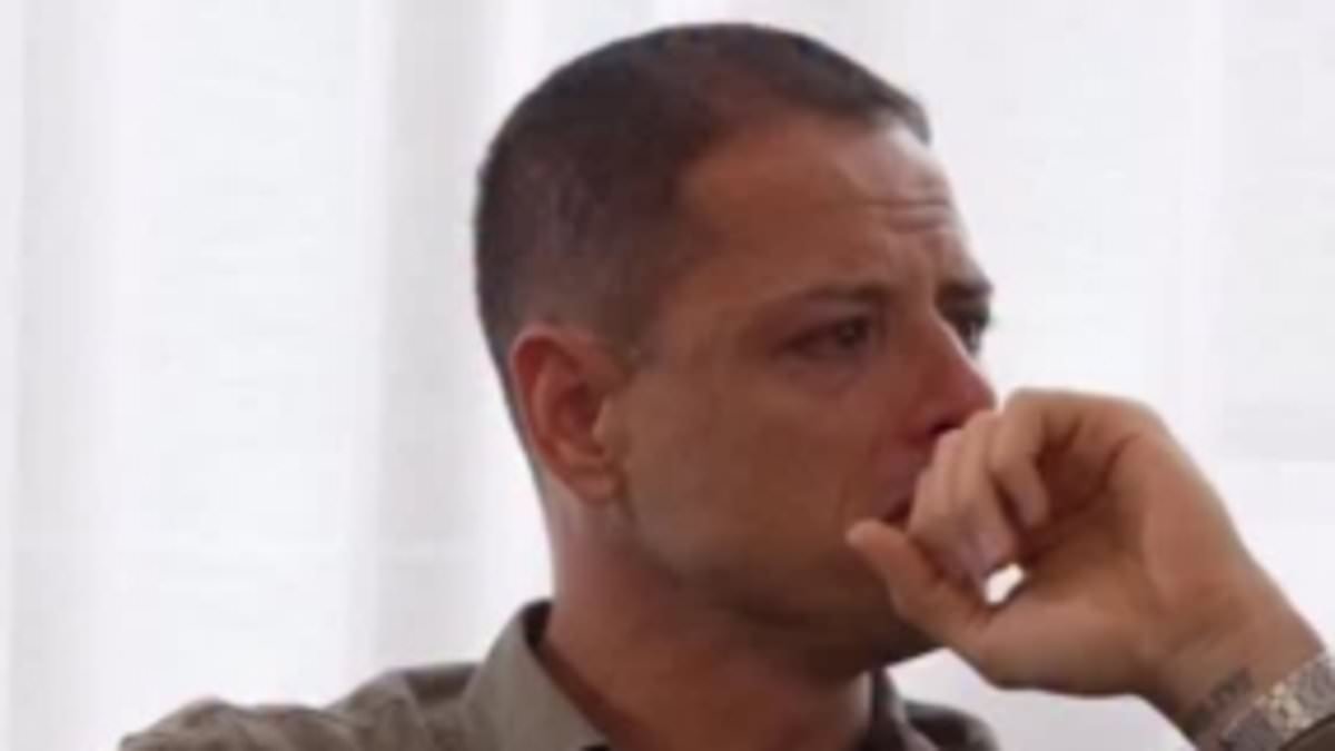 Former Manchester United star moved to tears by video of Punch the monkey, who became social media star for turning to orangutan toy for comfort after being abandoned by his mother