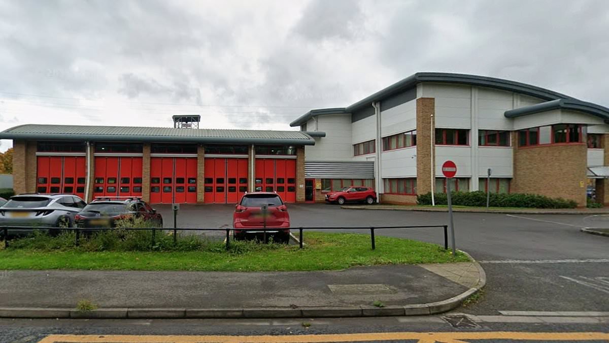 Firefighter was wrongly sacked after saying woman he rescued 'looked haggard for her age'