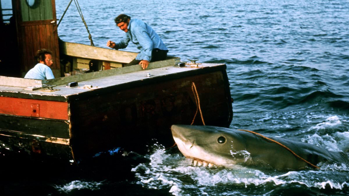 ANOTHER wave of films and TV shows axed by Netflix next month in streaming bloodbath - including legendary horror franchise and blockbuster action movies