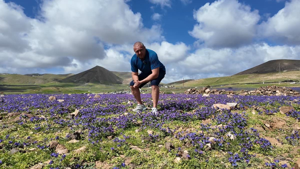 Lanzarote's volcanic landscape turns green after an unusually rainy start to 2026