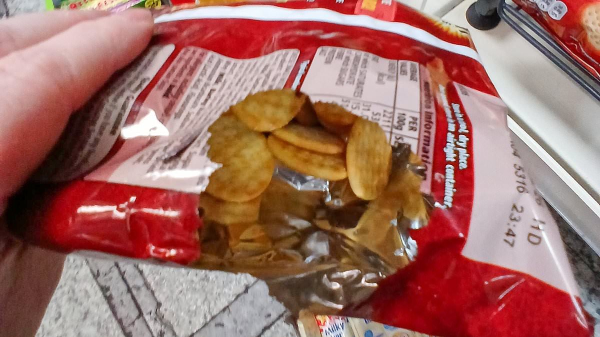 Corner shop is shut down after hygiene inspectors uncover 'worst mice infestation ever seen'