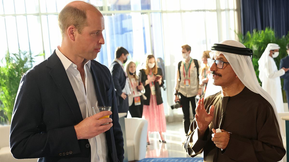 Emirati billionaire who shared 'torture video' e-mail with Jeffrey Epstein went to Buckingham Palace with Prince William