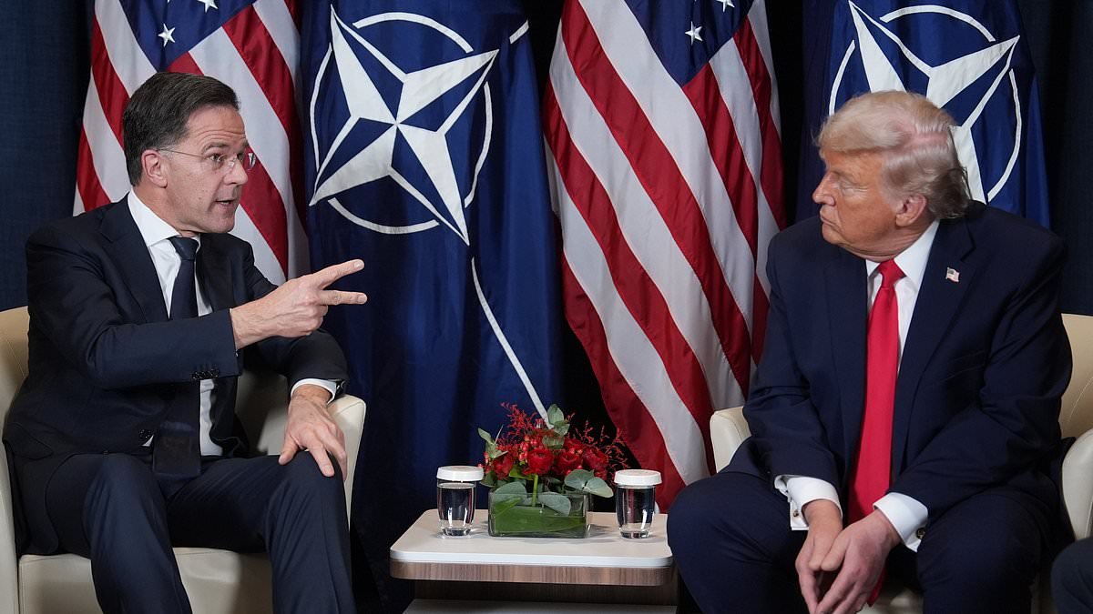 Nato chief Mark Rutte confronts Trump over his insults and points out European troops HAVE died for America in recent history