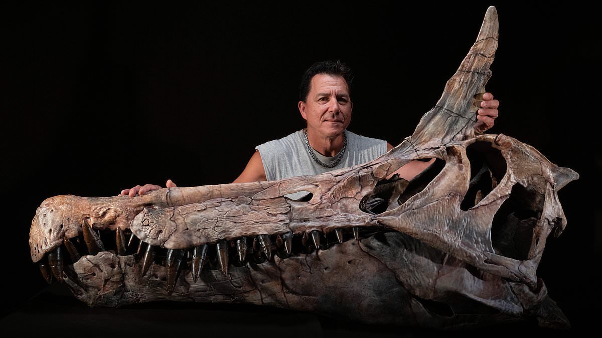 Mysterious new species from 95 million years ago may have been world's first 'dragon'