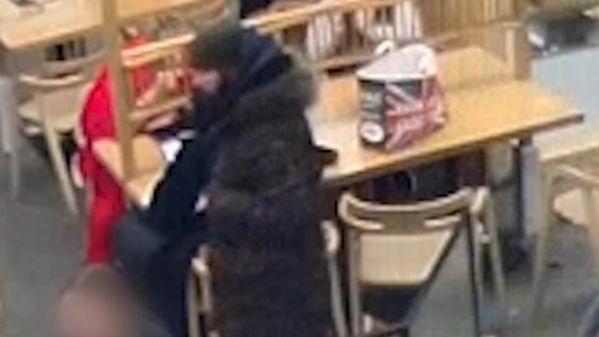 Moment thief swipes rucksack containing £600 worth of possessions at St Pancras - before he's arrested seconds later by plain clothes cops who caught him in the act