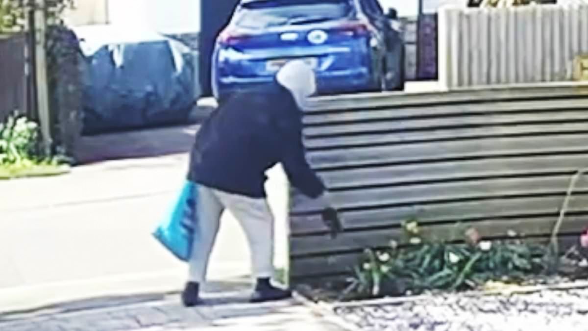 Moment hooded thief pulls freshly-planted hyacinth from a couple's driveway flowerbed before placing it in her bag for life