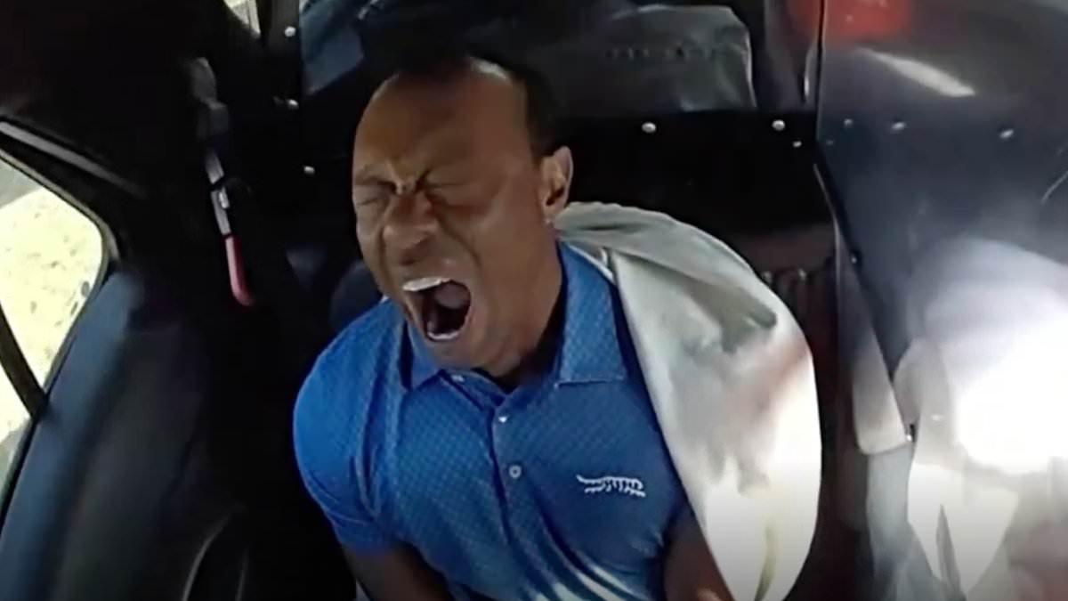 ALISON BOSHOFF: 'He's in so much pain he's drugged up to the eyeballs': Truth behind Tiger Woods' arrest, demons driving him... and the woman who might be the only one able to save him