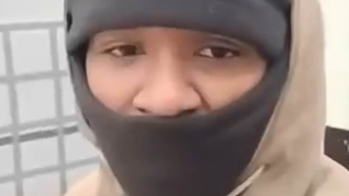 Moment migrant risks his life and falls while trying to leap on to moving lorry bound for Britain - before celebrating finally making it aboard