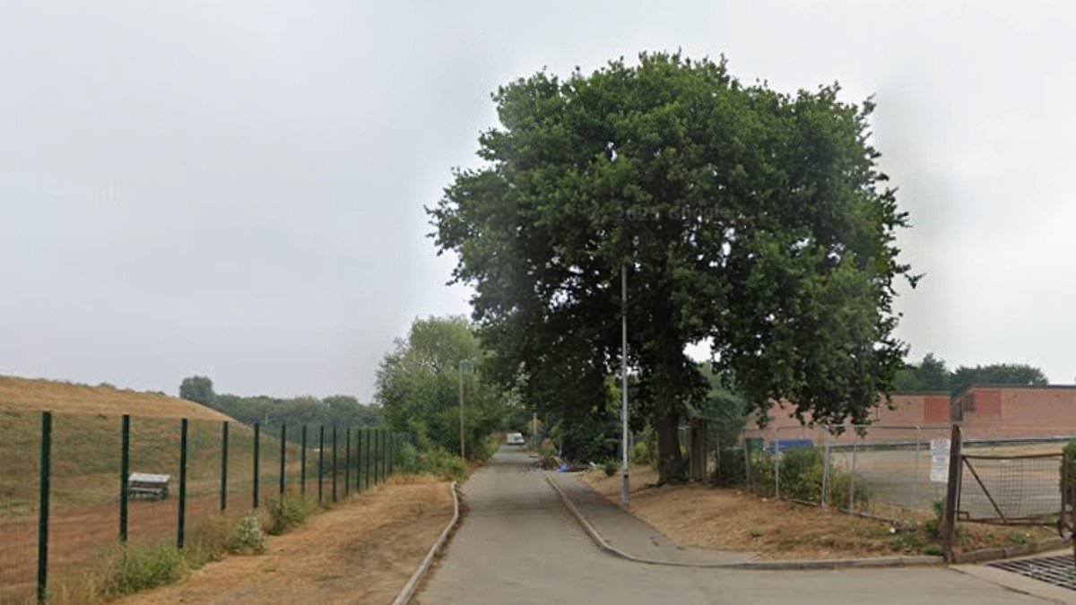 Horse and cart driver, 35, is arrested after cyclist killed in crash in London