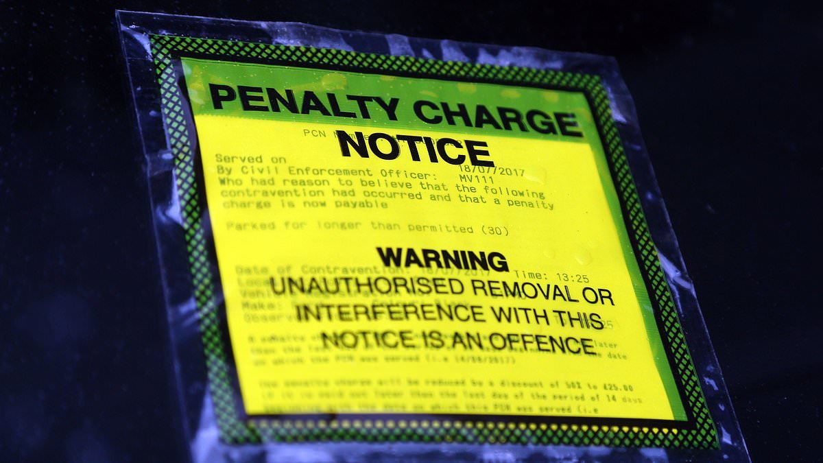The Dorset council that could send parking fines across Britain up to £160 - AA warns it will 'burst the dam'