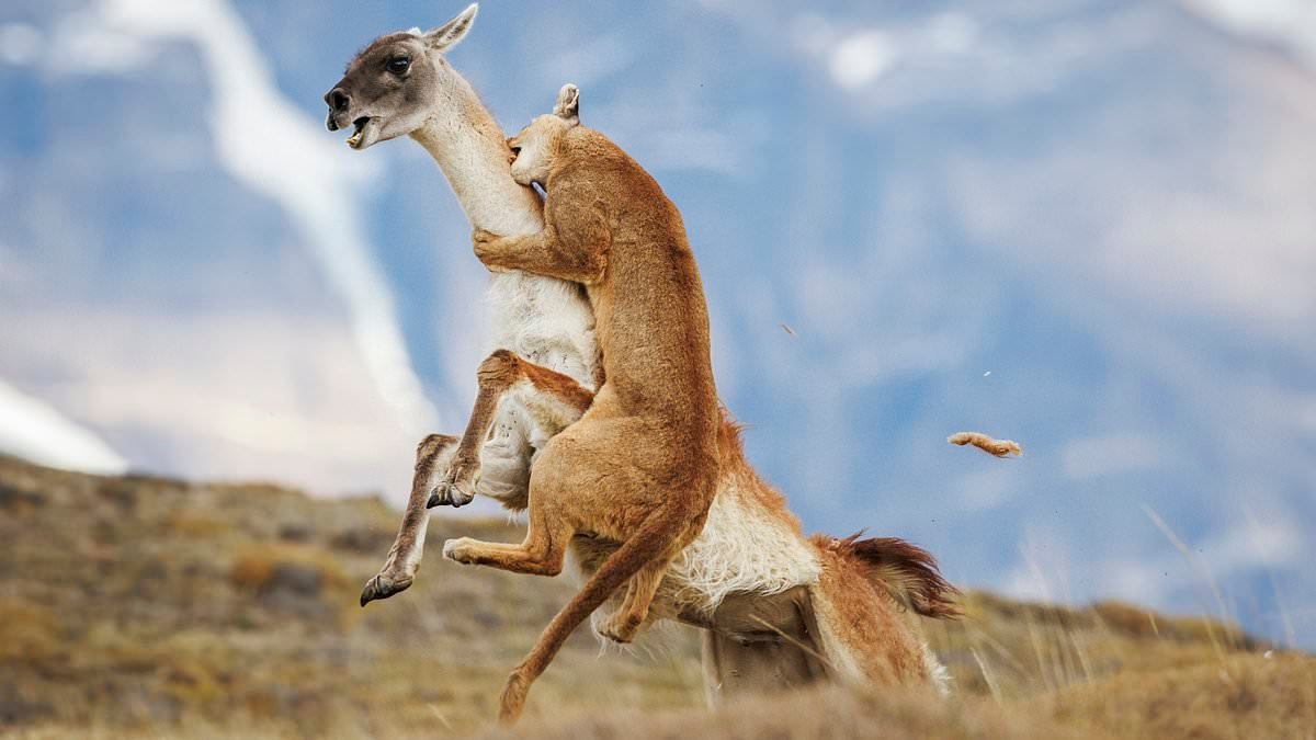 The winners of Travel Photographer Of The Year 2025 revealed in breathtaking photos