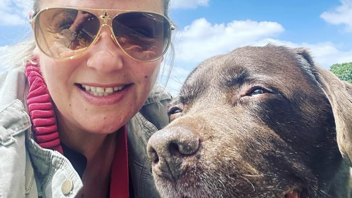 Heartbroken warring exes Ant McPartlin and Lisa Armstrong cremate their beloved Labrador Hurley... and split his ashes 50/50