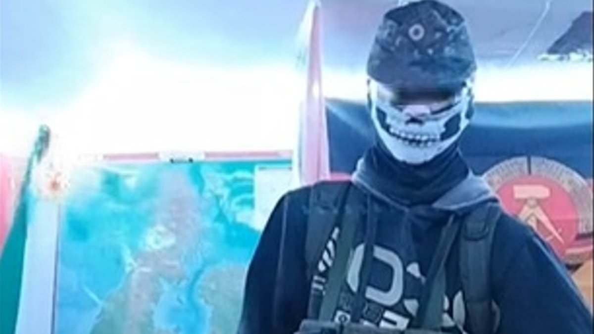 Schoolboy 'white supremacist', 16, is sentenced after sharing terror material and amassing arsenal of weapons including crossbow and knives