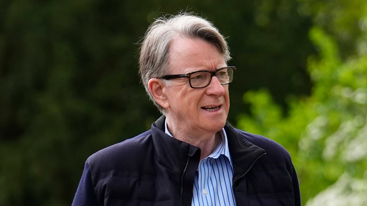 What could possibly have made Lord Mandelson fail his security vetting? REBECCA CAMBER investigates