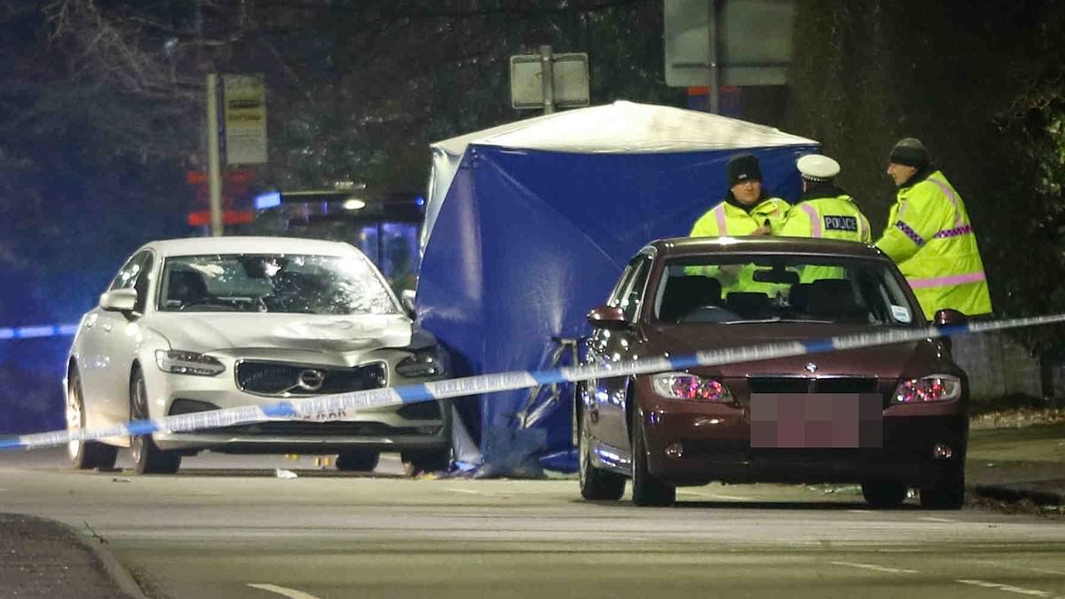 Woman, 79, is killed in car crash as Volvo driver in his 40s is held for 'death by dangerous driving'