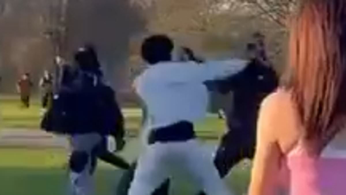 Moment fight that left man, 21, dead and another in hospital breaks out on Primrose Hill as 'crowds basked in the sunshine'