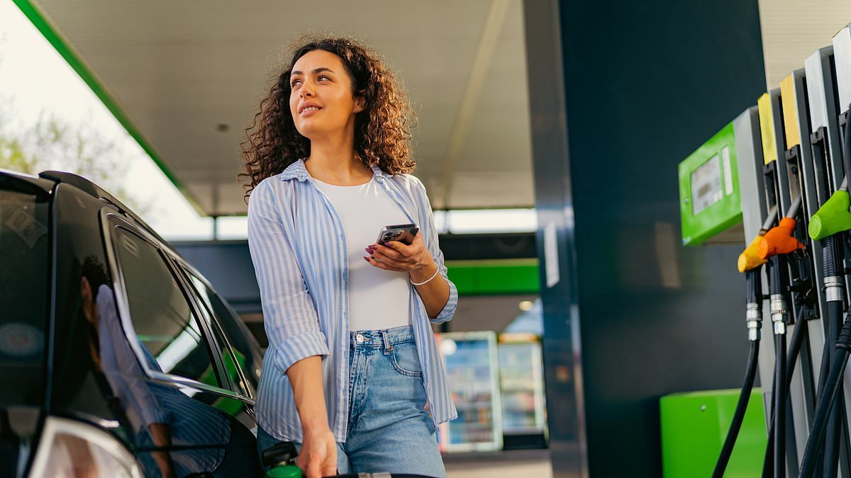 Labour should encourage workers to work from home to save fuel amid looming shortages, says former BP boss, as average diesel and petrol prices stop climbing for first time in more than 40 days