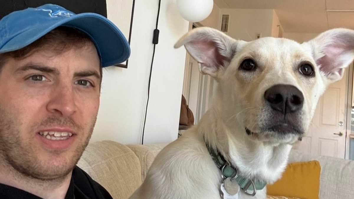 'Gentle giant' British expat, 34, is 'beaten to death' in Canada after heated row: Friends launch fundraiser to fly his body back to UK for his grieving parents who have now lost two of their three sons