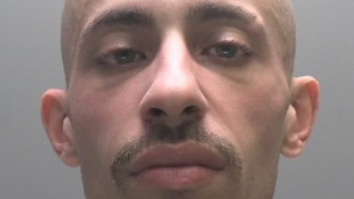 Algerian asylum seeker pretending to do a masters degree on renewable energy jailed for stealing nine laptops worth over £10,000 in a day