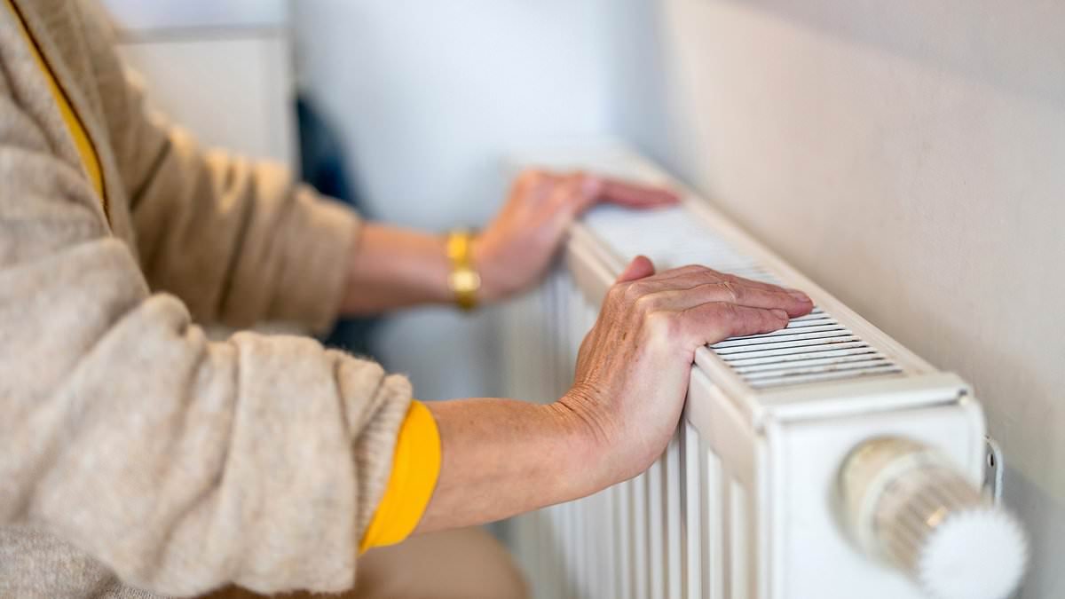 More than 1,200 people aged 85 and over died from 'cold related illnesses' last winter... just months after Labour banned winter fuel allowance