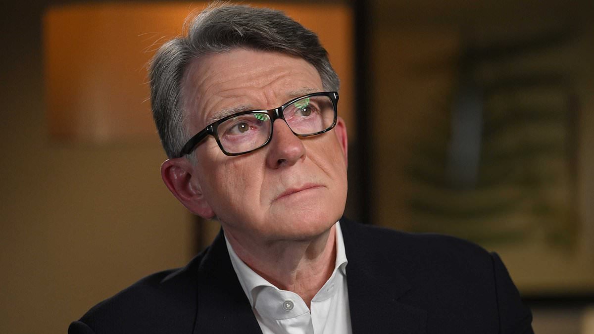 Minister warns Lord Mandelson must 'account' for Epstein links amid claims he was given $75,000 by paedophile financier while an MP