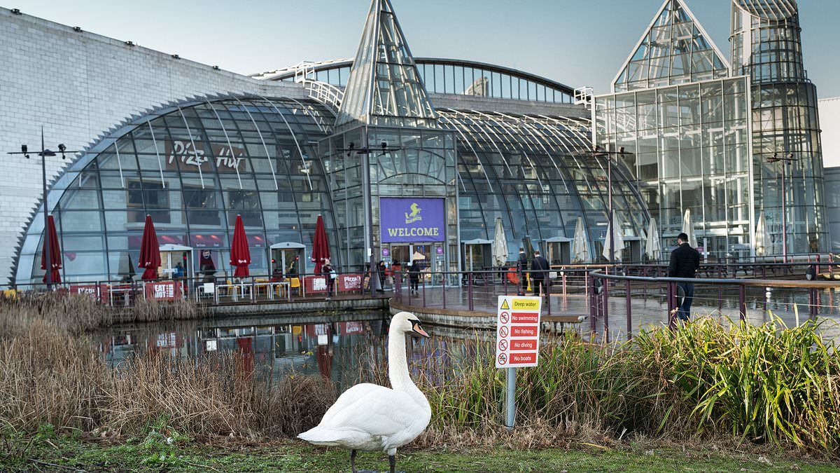 Bluewater shopping centre to become Britain's largest electric car charging hub