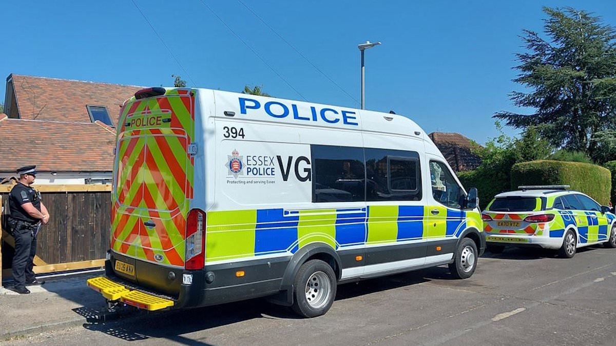 Dozens of pets still missing from nightmarish kennels where inspectors found 40 dead dogs - as owner pleads guilty to animal cruelty and fraud charges