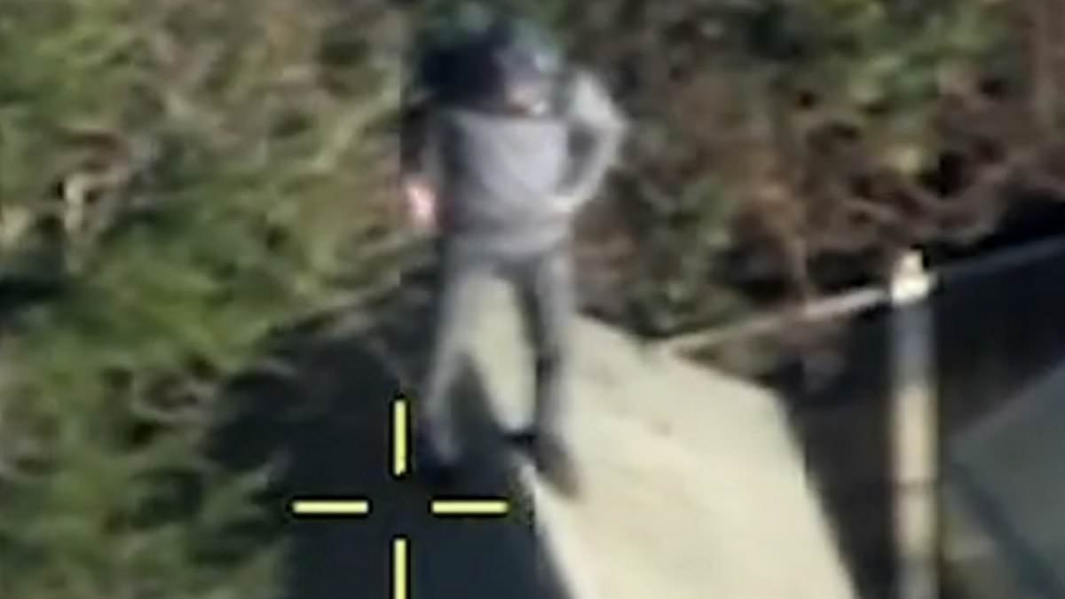 Moment suspected thief's desperate escape bid is foiled after he gets trapped on roof of shed