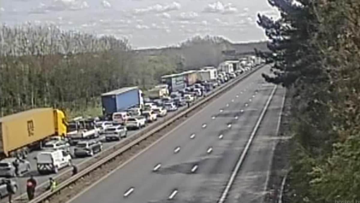 Two teens die after car plunges from bridge and crashes into minibus on motorway - as families spend hours trapped in traffic following road closure