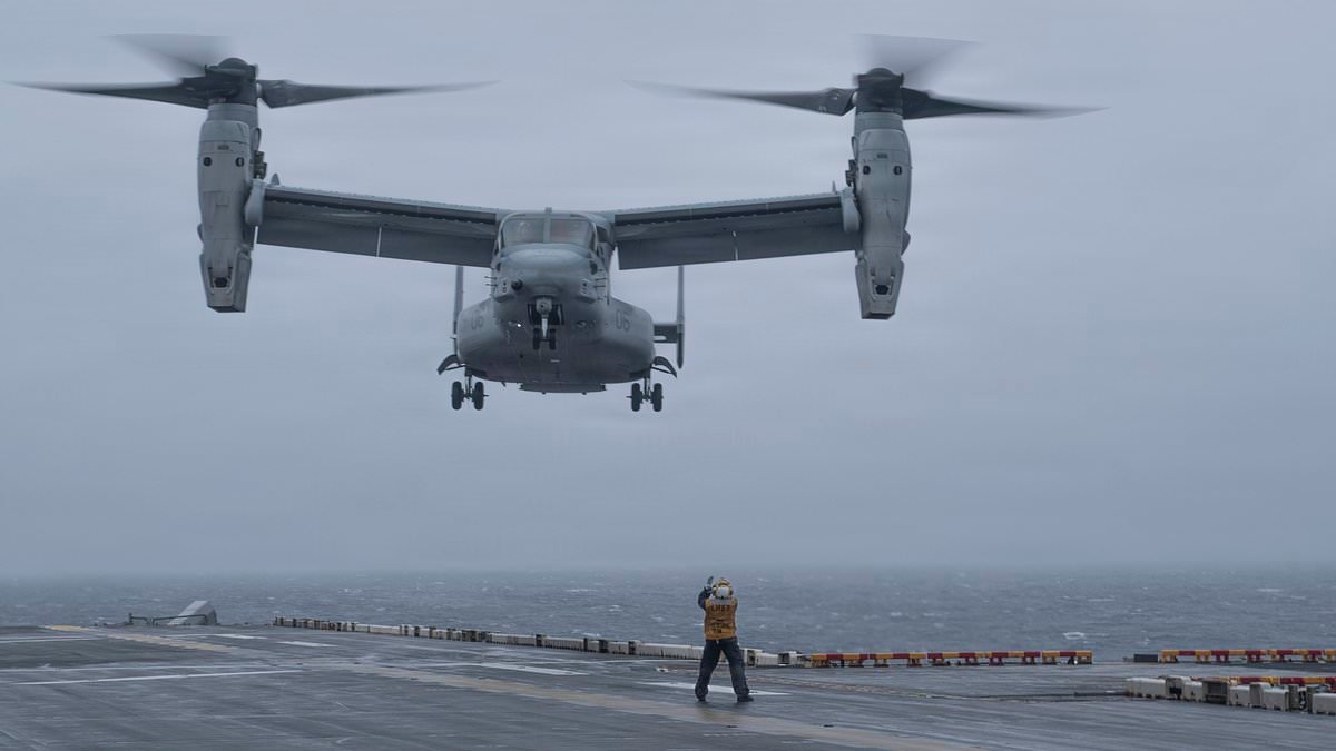 A US land attack to secure Strait of Hormuz would be 'nightmare' with troops facing missiles and hundreds of drones, general warns