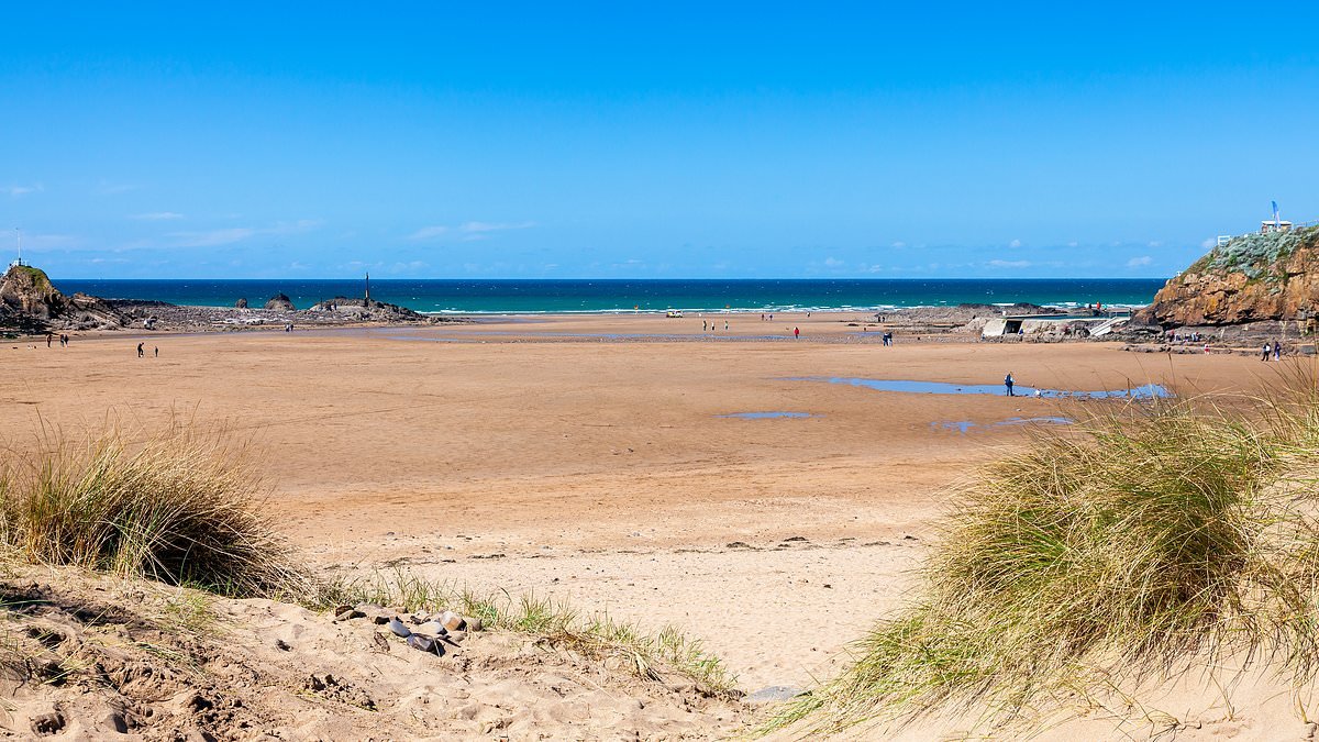 Schoolboy, 15, is found dead in woodland near popular seaside town