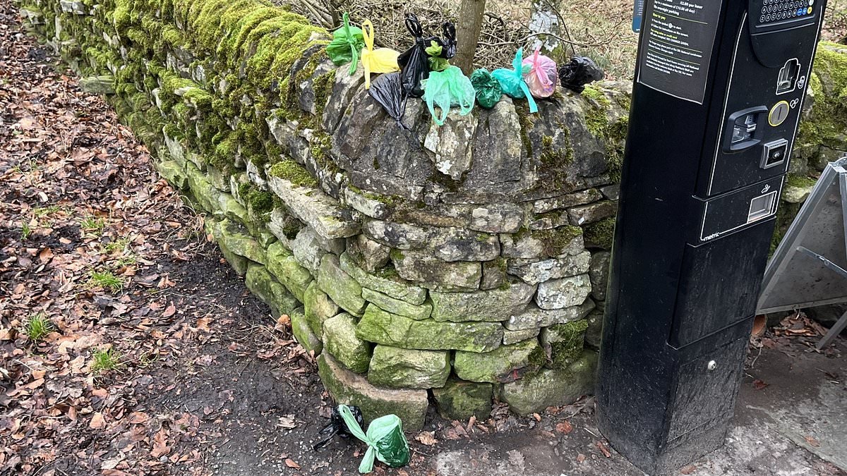 Outrage at lazy dog walkers who are threatening Hadrian's Wall as they shove bags of waste between stones