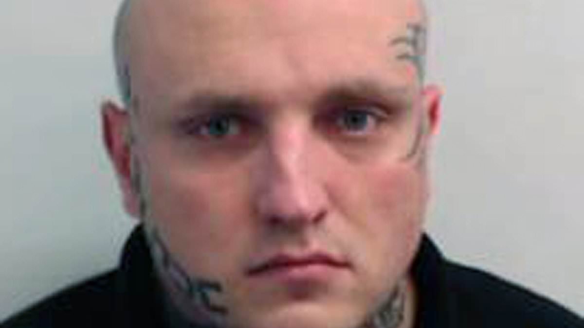 Scottish Greens leader refuses to describe trans rapist Isla Bryson as a man saying the party believes in 'self-ID' even for brutal criminals