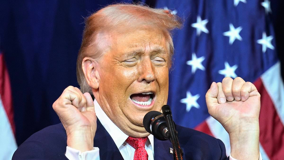 Why Trump's hair has turned pink: Stylist reveals secret behind Donald's dusky locks