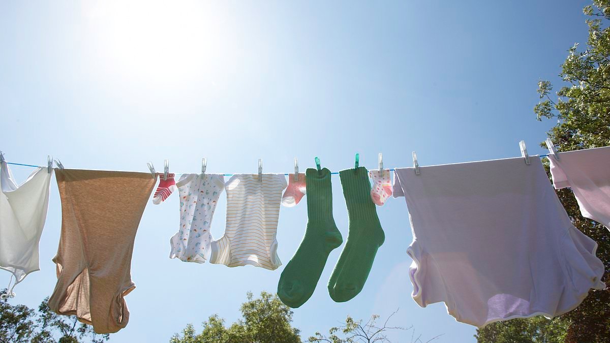 Solar farms could swap grid with power if it is TOO SUNNY this summer meaning families could be offered free electricity to do their washing on a nice weekend
