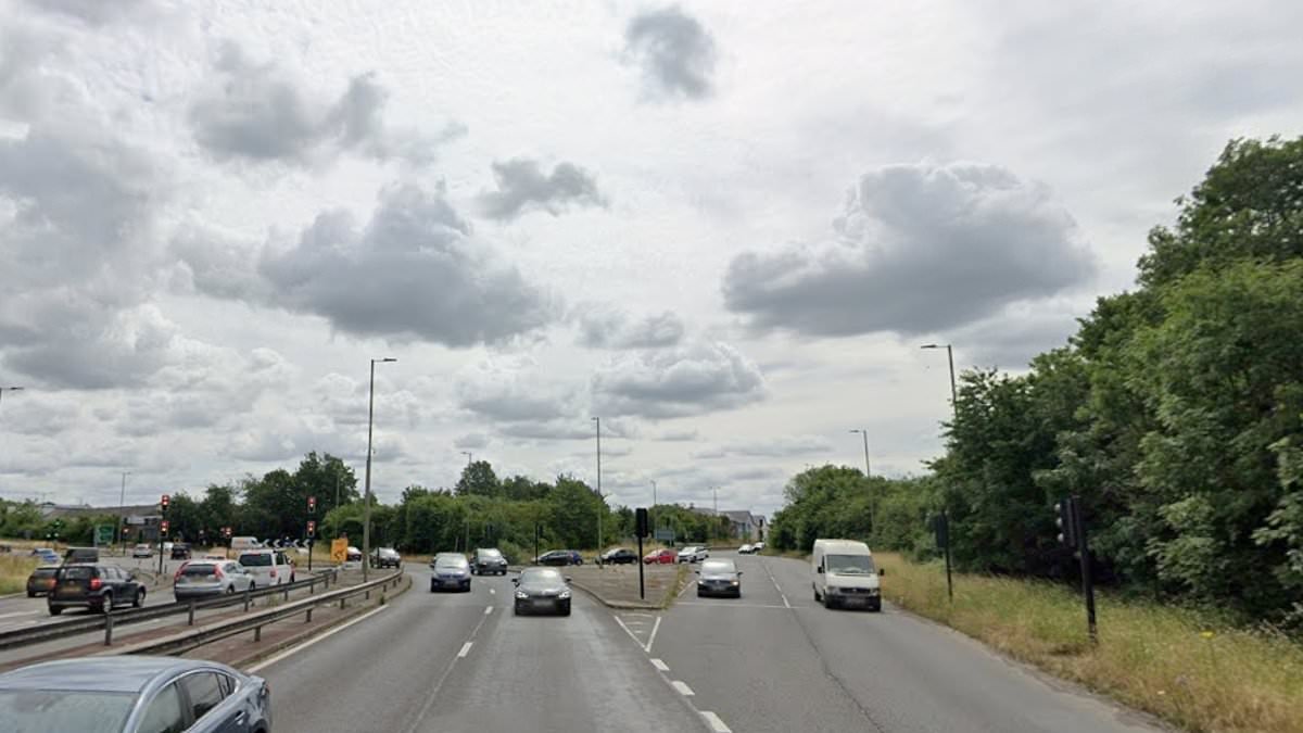 Pensioner, 80, is killed on late-night walk as motorist is arrested for driving without a licence or insurance