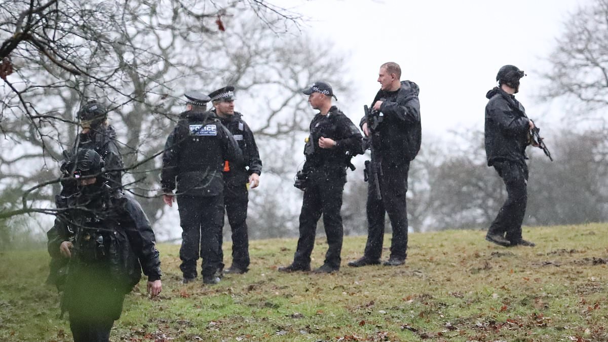 Heavily armed police swarm farm after dogs kills 23 sheep... and hound is still on the loose