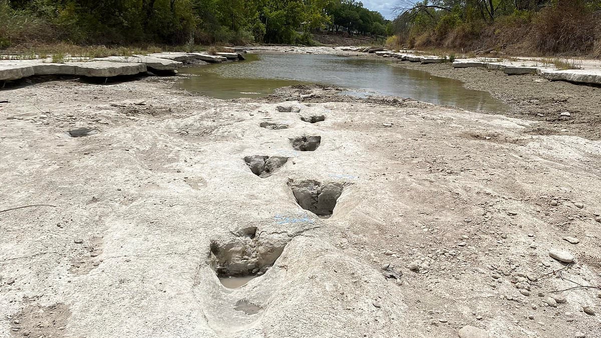 Fury as 100 million year old dinosaur park could be DESTROYED by new AI data center
