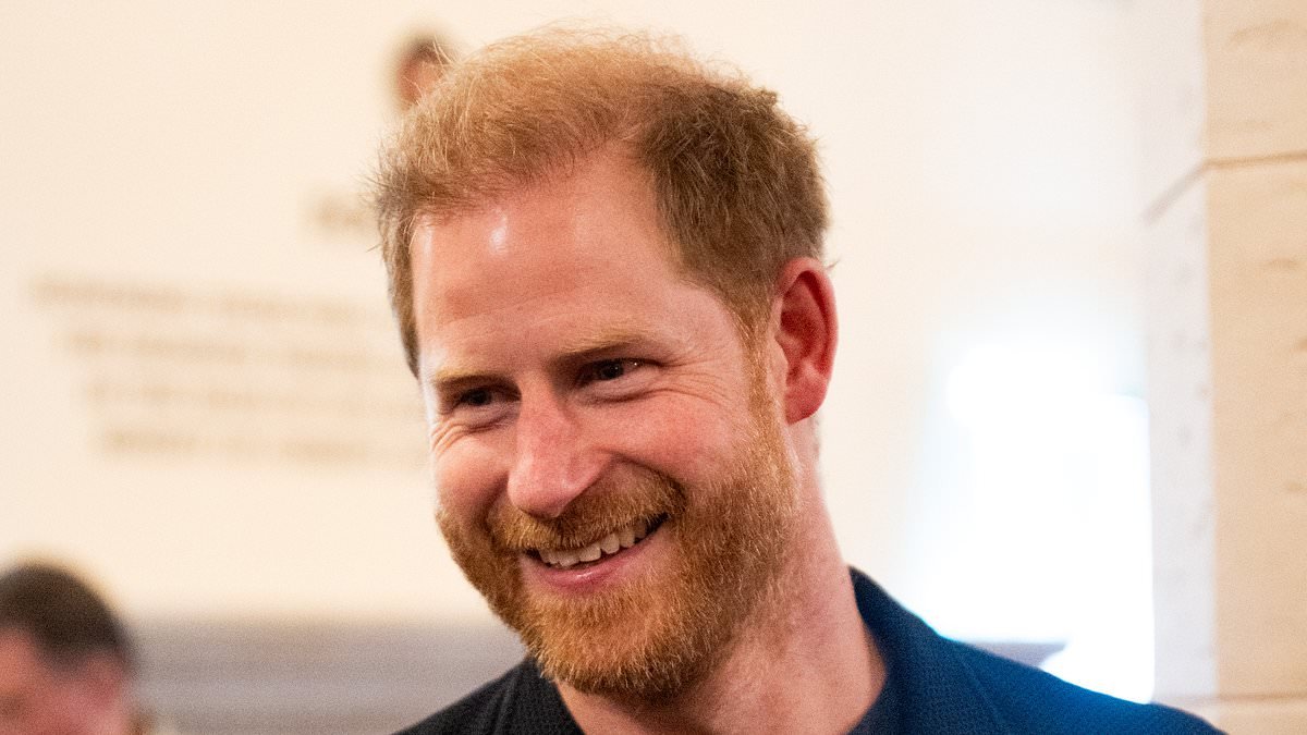 Prince Harry's US visa files are delayed until after King Charles's state visit to America