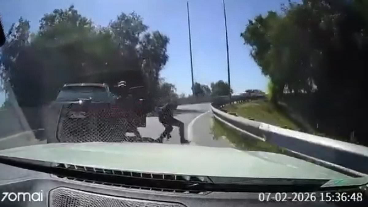 Instant karma for highway robbers when victim runs one over when they try to force his car to stop at gunpoint