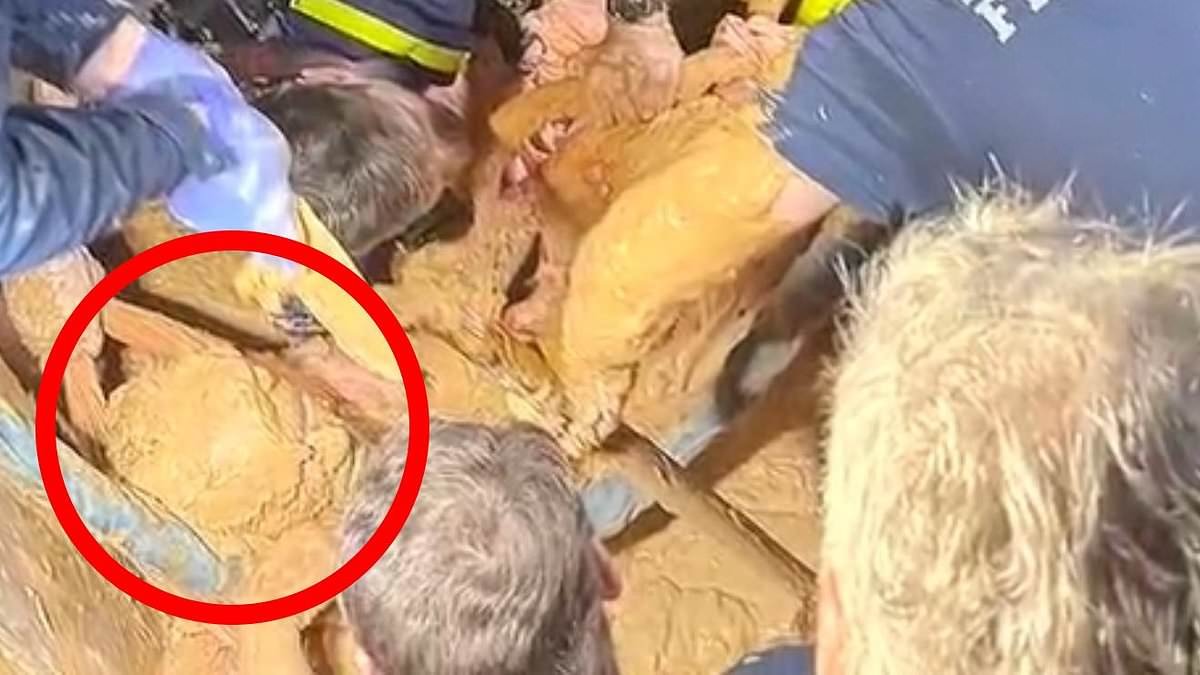 Miraculous moment man missing for TEN days is found trapped up to his shoulders in mud