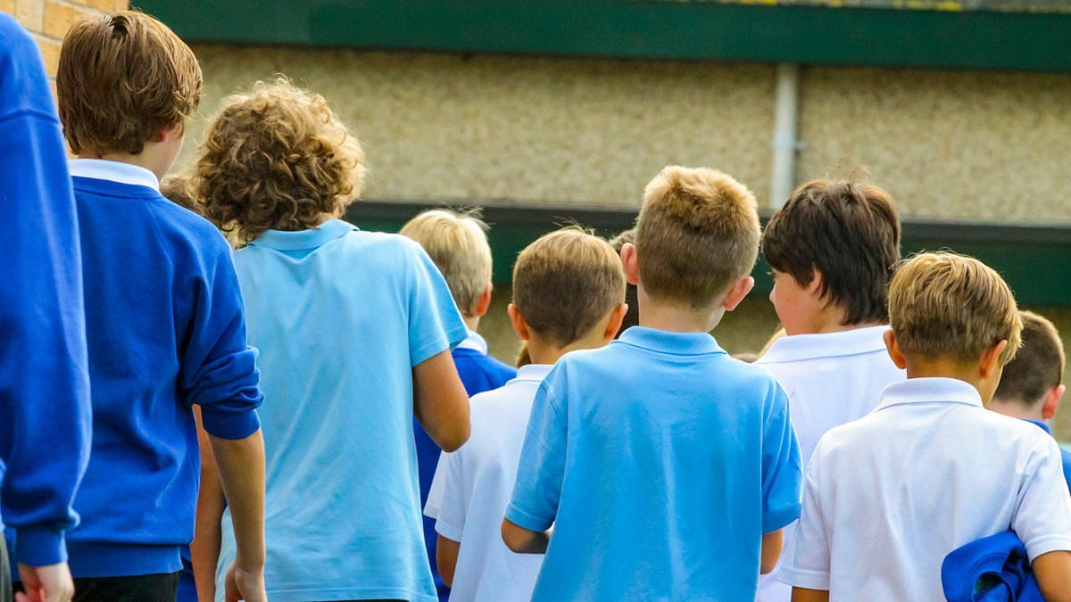 Young boys 'have a lack of role models' as report urges men to 'step up' for their community as family units break down