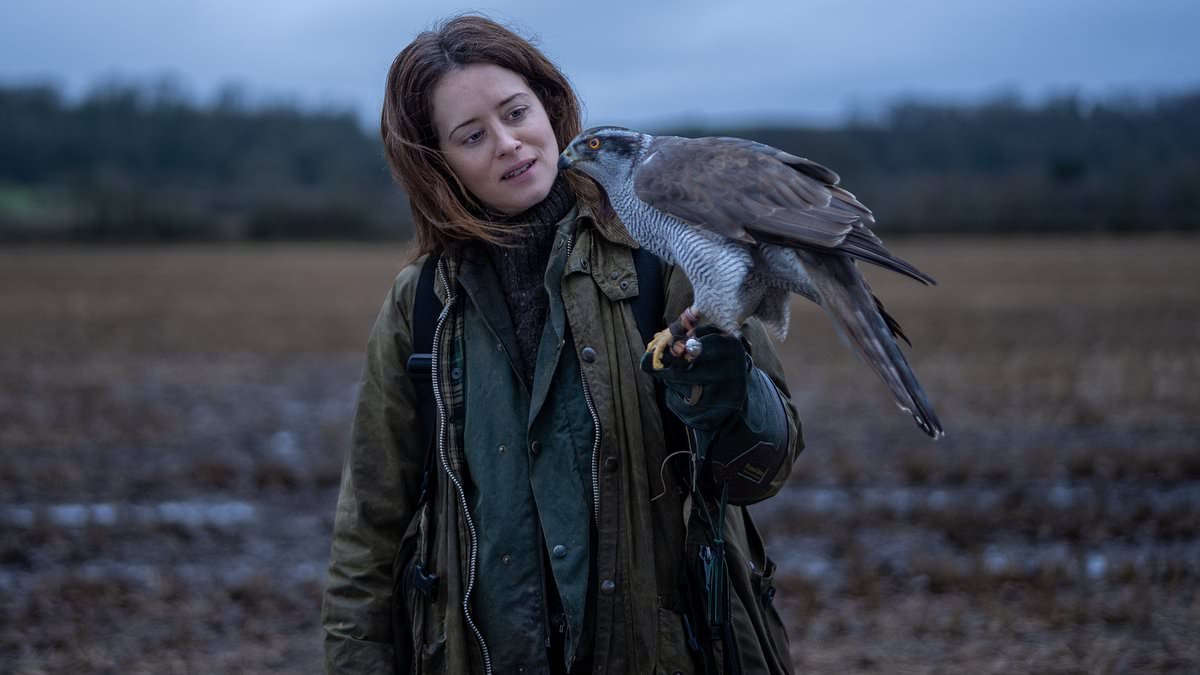 BRIAN VINER: Claire Foy is majestic in H Is For Hawk - it's a soaring study of grief