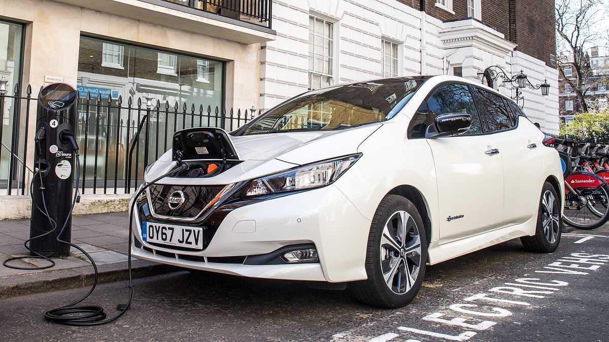 Nissan angers drivers by deactivating EV app leaving tens of thousands of Leaf owners fearing their cars will become redundant