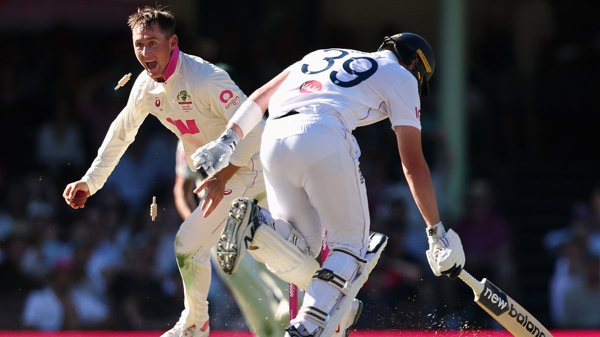 'Worst commentary ever heard' at the Ashes as TNT Sports' reporter, who usually works on cycling, confuses a replay for live action in 'amateur' error