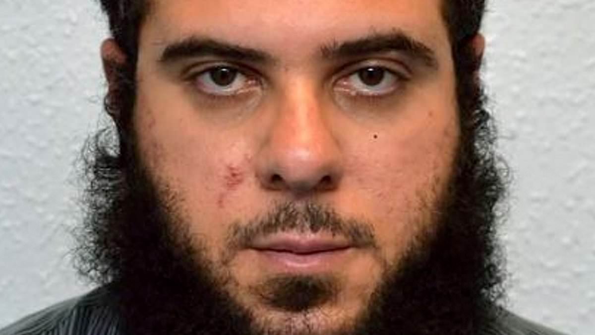 'Violent' pro-Palestine activist wrote he wanted to 'establish Islamic State in Britain', court hears