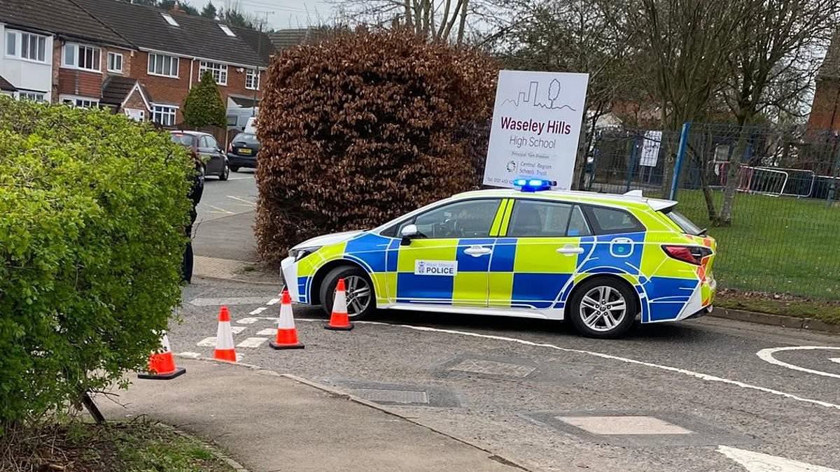 School locked down by police amid fears of a knifeman on the loose - before discovering it was just a builder with a pair of scissors