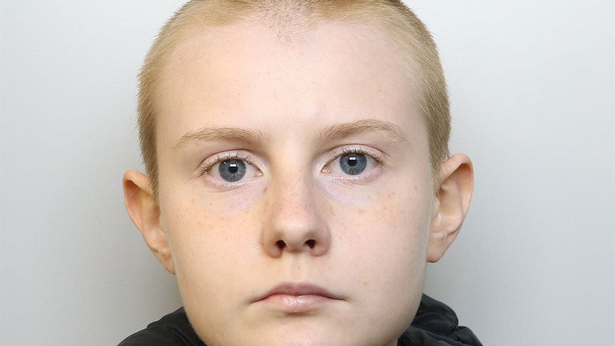 Nazi-obsessed teenager who launched far-Right axe attack on stranger had written to a pal: 'Kill all Jews and Muslims in Britain, please'