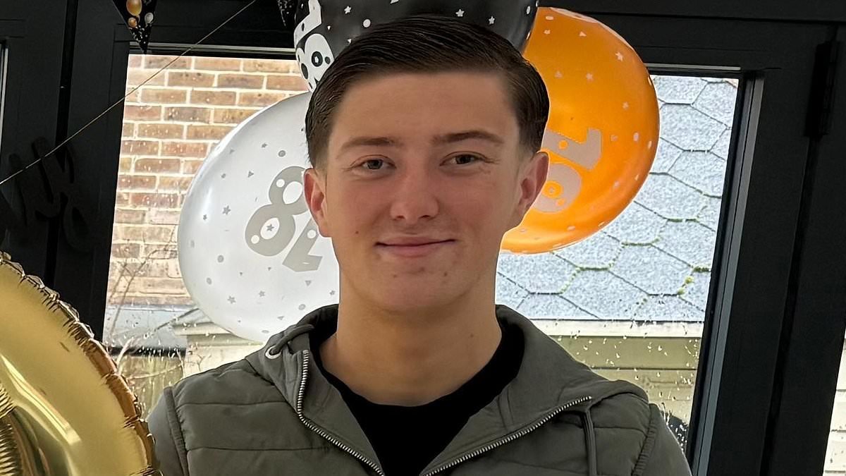 Alleged killer denies murdering student, 18, who was stabbed to death on way home from night out - while defendant's mother pleads not guilty to assisting offender by removing knife from scene