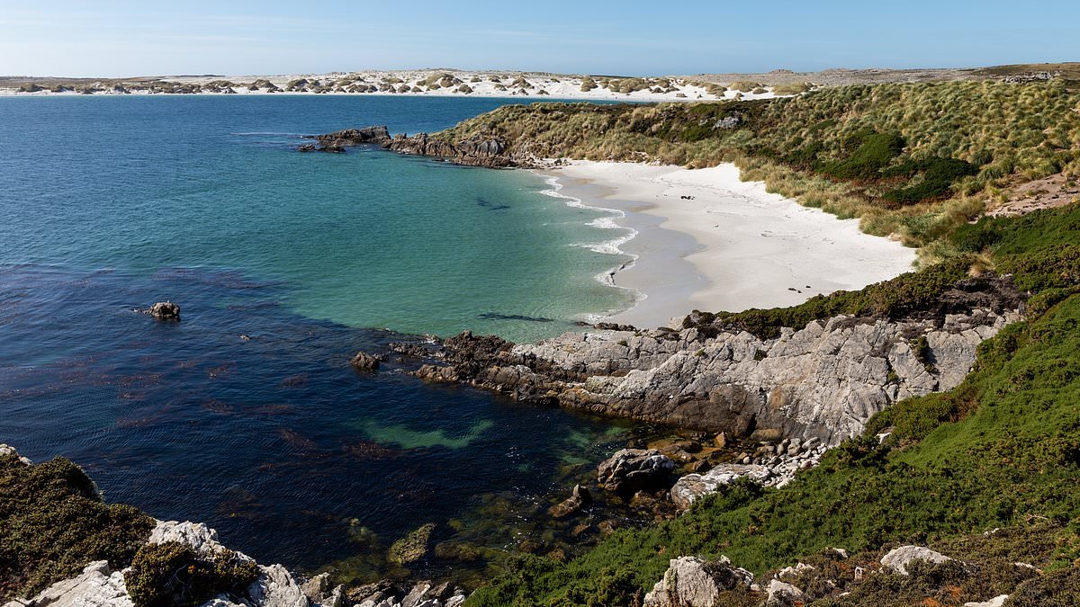 How the Falklands are turning into the next Dubai - with amazing beaches, tax breaks and the most amount of Land Rovers per capita in the world